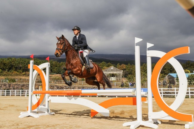 한국마사회, 2026년 은퇴경주마 승용전환 지원사업 1차 신청 접수