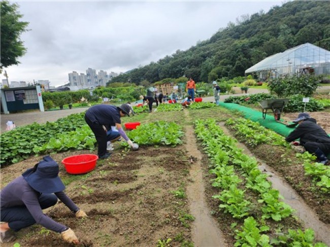 서초구, 도심 속 힐링 '친환경 도시텃밭'에서 시작하세요