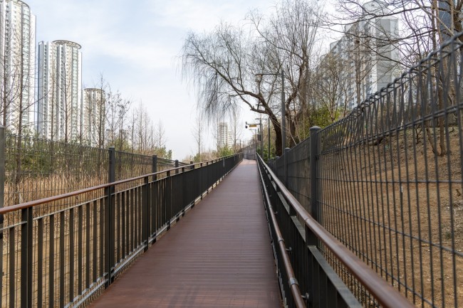 막혔던 공간, 길로 열리다…마포구, 우리가족의 숲 무장애 산책로 조성