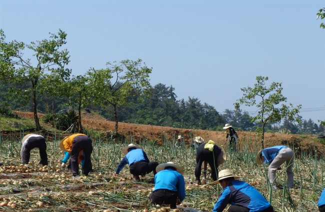 전남도, 농어민 공익수당 70만 원 지급